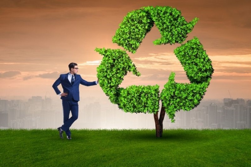 Thực trạng khi áp dụng Going Green