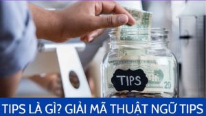 Tips là gì? Những điều cần biết về thuật ngữ Tips