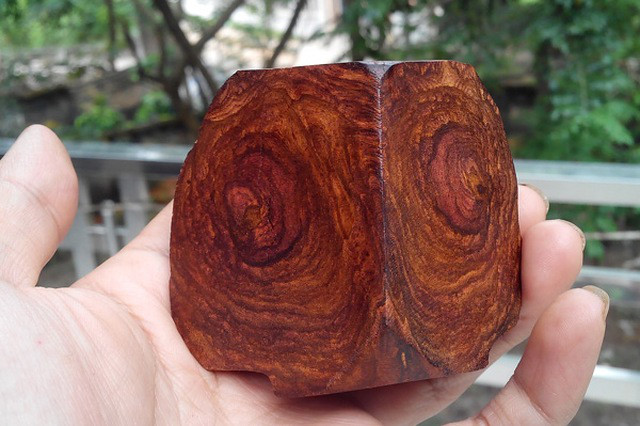 Đặc điểm của gỗ giáng hương