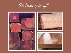 Tại Việt Nam, gỗ hương được xếp vào nhóm I, thuộc loại gỗ quý. 