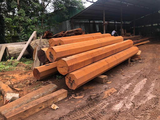 Gỗ căm xe có tốt không