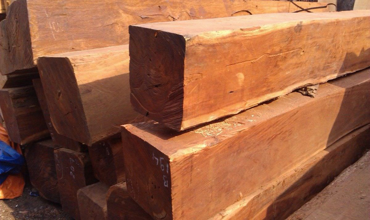 Gỗ căm xe là gì
