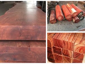 Gỗ hương đá là gì? Đặc điểm nổi bật của gỗ hương đá