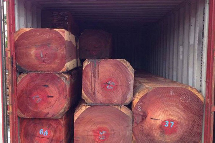 Kết cấu của gỗ hương đỏ