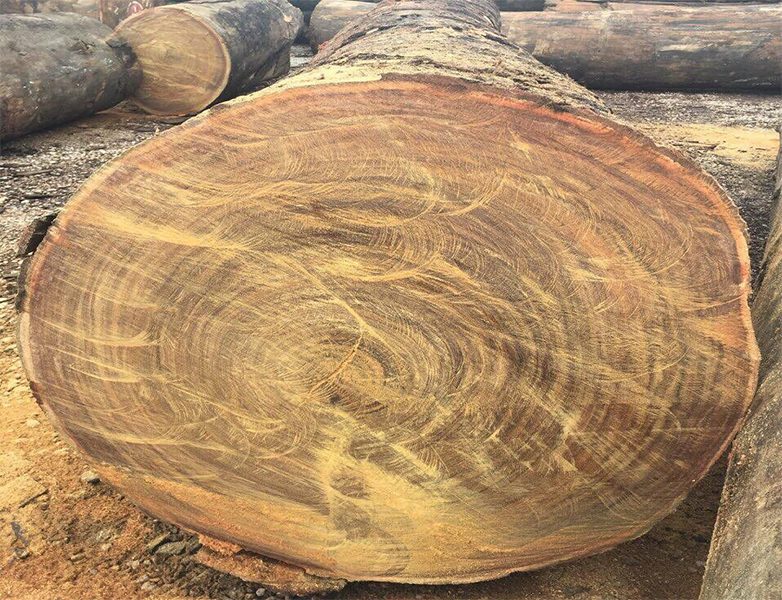 Một số loại gỗ đẹp