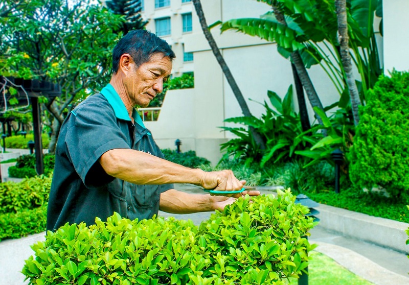 Nhân viên bộ phận làm vườn - Gardener