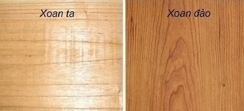 Phân biệt gỗ Xoan Đào và gỗ Xoan ta