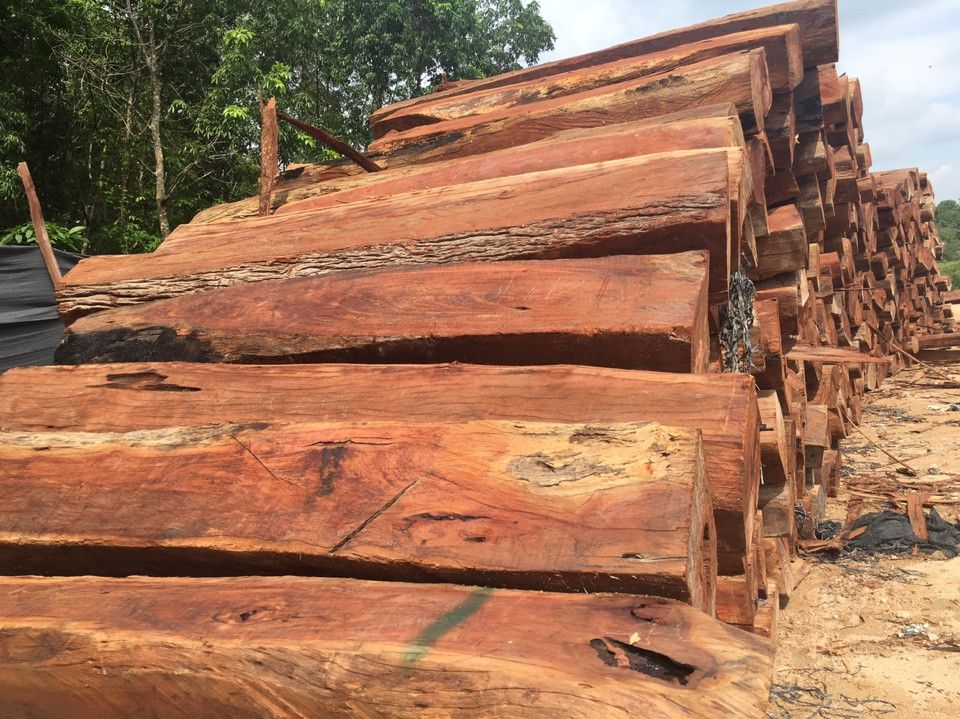 Phân loại gỗ căm xe