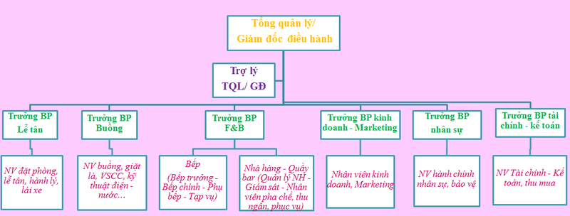 Cơ cấu tổ chức bộ phận trong khách sạn 3 sao
