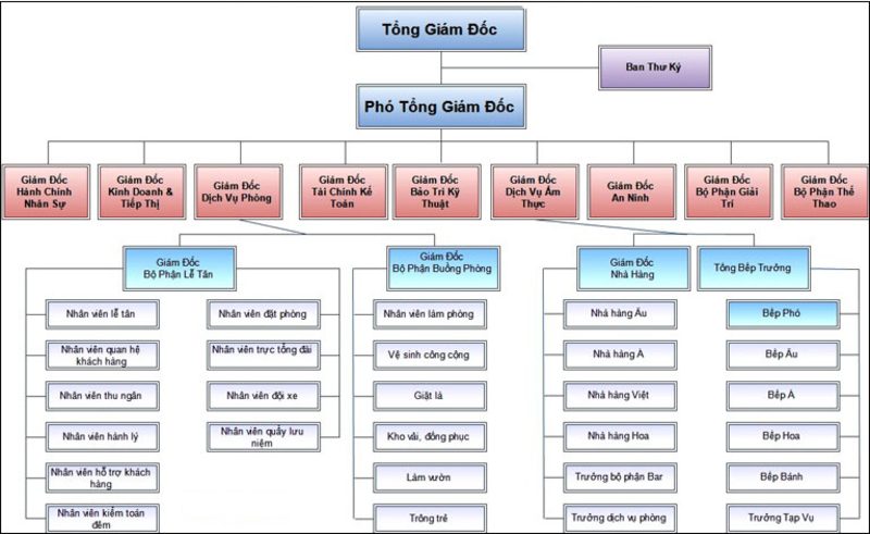 Cơ cấu tổ chức bộ phận trong khách sạn 4 - 5 sao