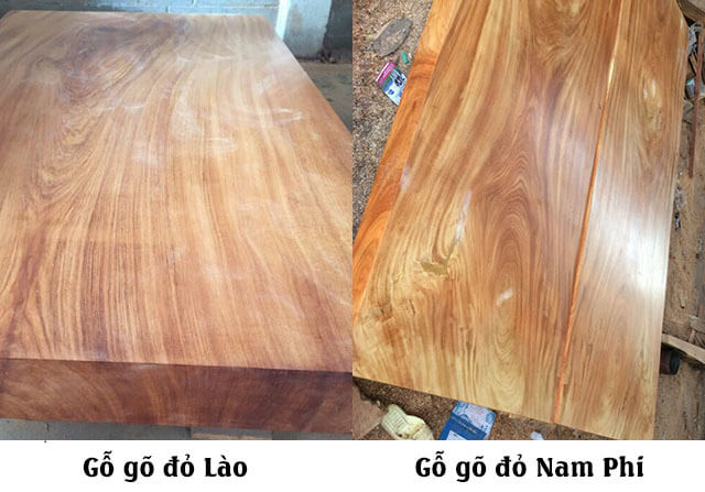 Không quá khó để phân biệt Gõ Đỏ Lào và Gõ Đỏ Nam Phi