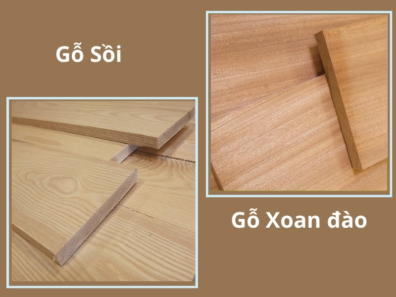 Đặc điểm của gỗ sồi và gỗ xoan đào