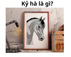 Kỷ hà là gì?