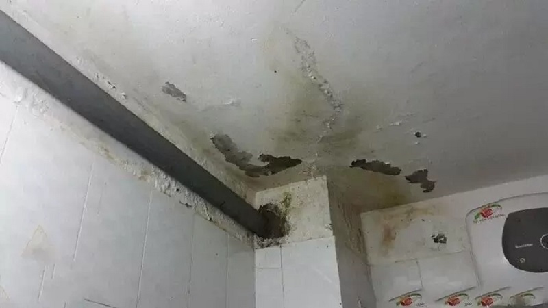 Cách khắc phục thấm nước từ nhà vệ sinh xuống trần thạch cao tầng dưới và chân tường bên ngoài
