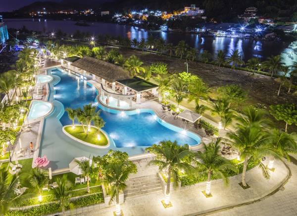 Thiết kế vườn nhiệt đới với cây cọ bao quanh hồ bơi rộng lớn