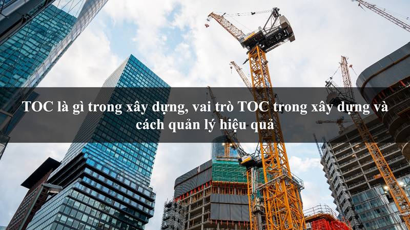 TOC là gì trong xây dựng, vai trò TOC trong xây dựng và cách quản lý hiệu quả